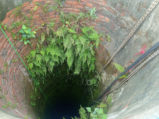 इनारभित्र पुरुषको शव फेला